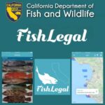 fish legal california